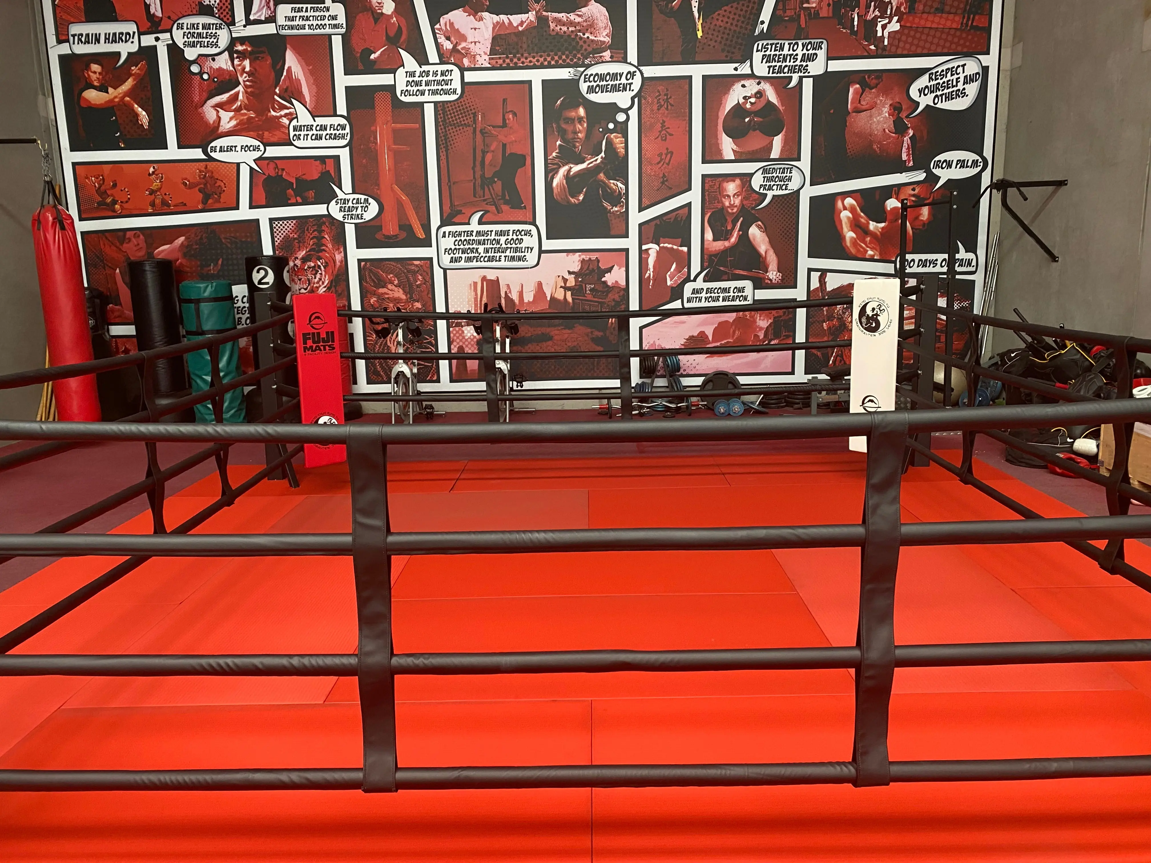 Fuji Boxing Ring - Image 14