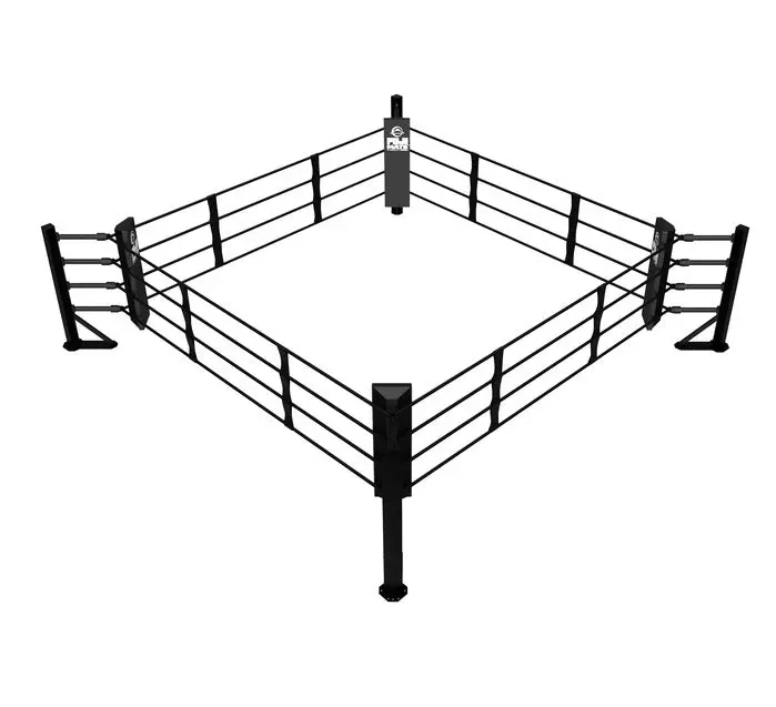 Fuji Boxing Ring - Image 6