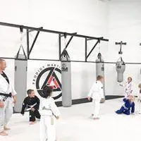 Fuji Custom Heavy Bags - Image 17