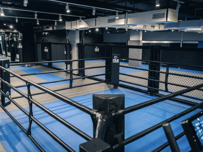 Fuji Custom Made Boxing Rings - Image 7