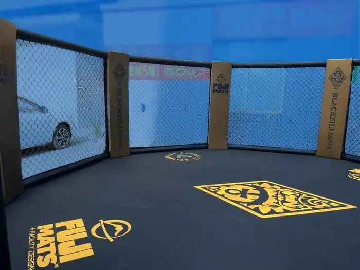 Fuji Custom Made MMA Cage - Image 6