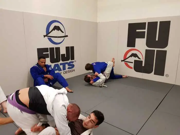 Fuji Euro Wall Pads Custom Print - Image 8