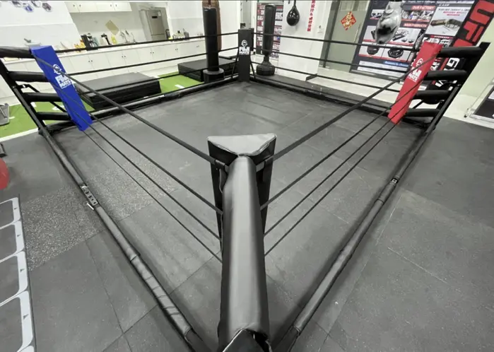 Fuji Fold-Away Boxing Ring - Image 7