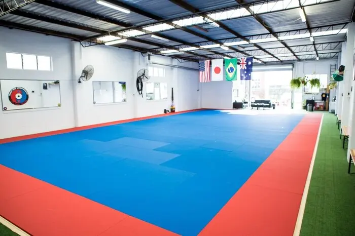 Fuji Pro Series Tatami Half Mats - Image 4