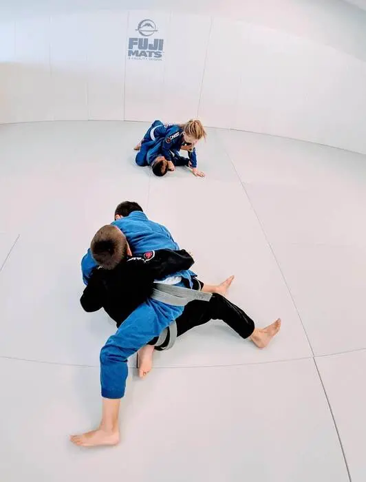Fuji Pro Series Tatami Half Mats - Image 9