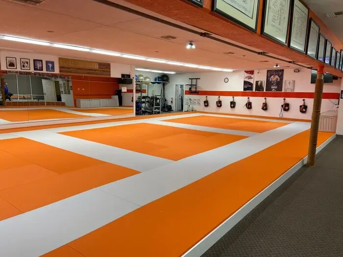 Fuji Pro Series Tatami Mats - Image 7