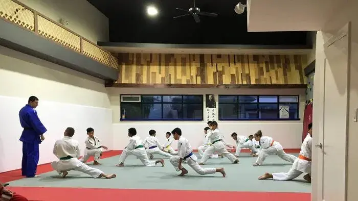 Fuji Training Series Tatami Half Mats - Image 3