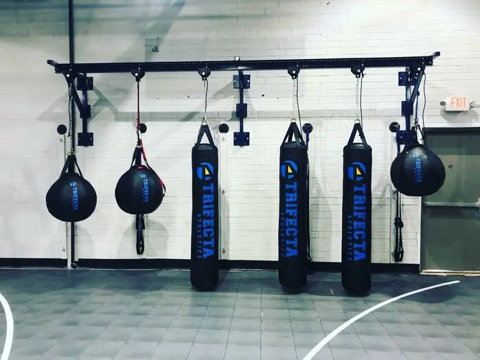 Fuji Wrecking Ball Heavy Bag - Image 5